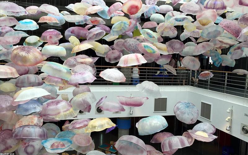 Aquarium installation process
